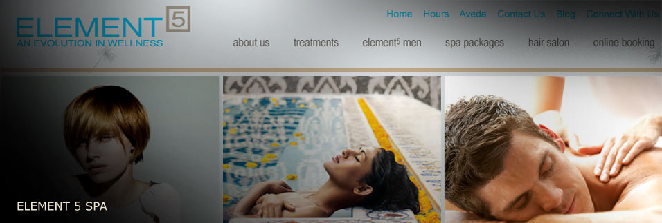 Element 5 website design